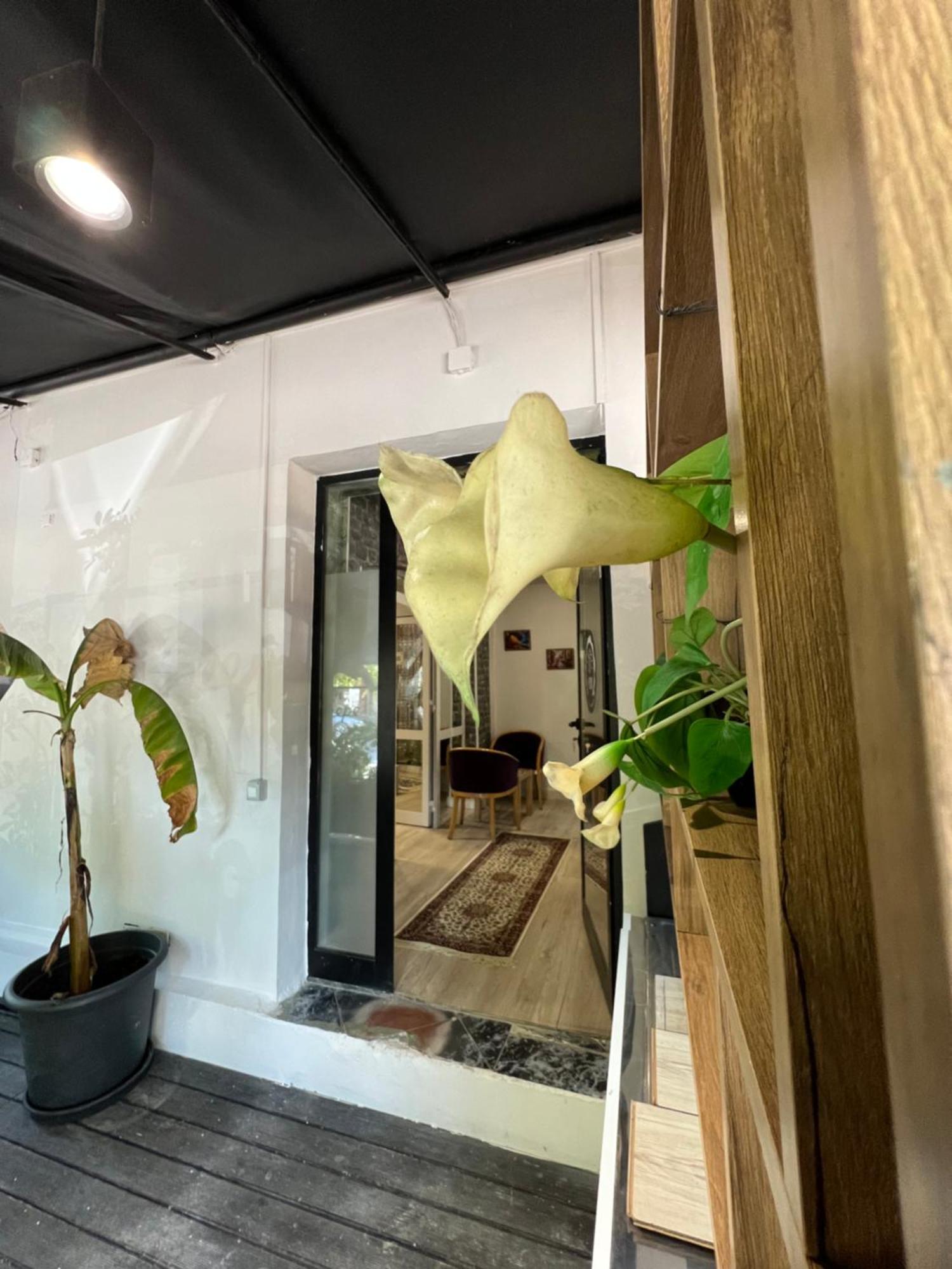 Destinacion Central Room 地拉那 外观 照片